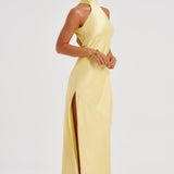 Etta Citrom Maxi Dress