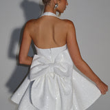 Elephant Ivory Georgette Mini Dress